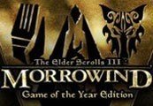 The Elder Scrolls III Morrowind GOTY