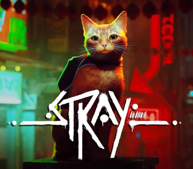 Stray