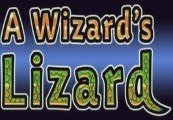 A Wizard's Lizard