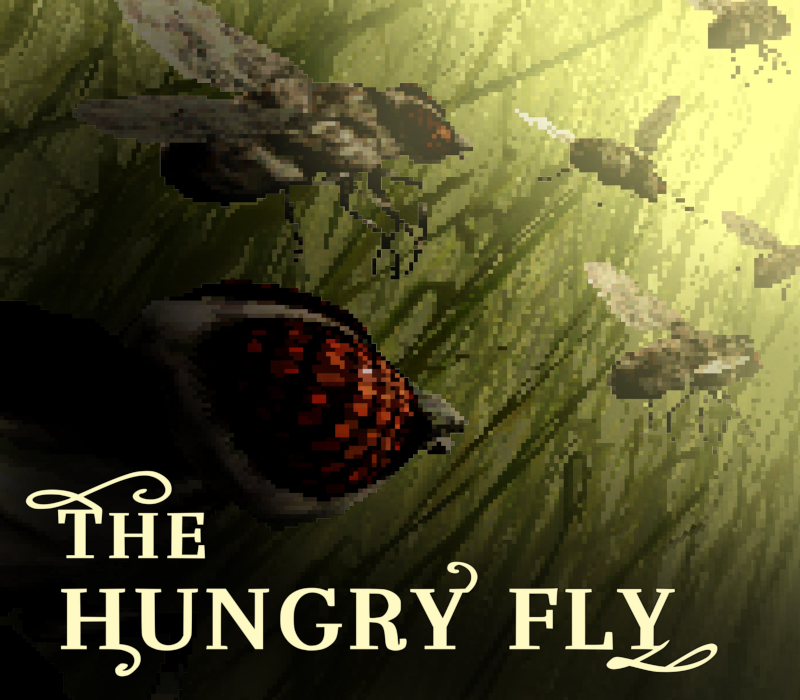The Hungry Fly