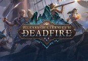 Pillars of Eternity II: Deadfire
