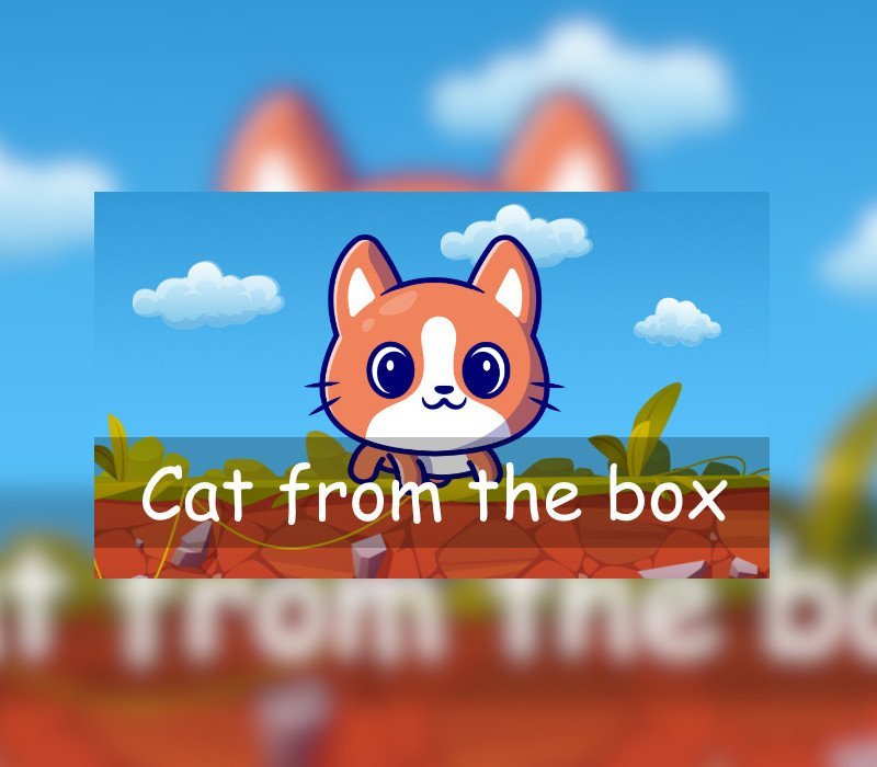 Cat from the box