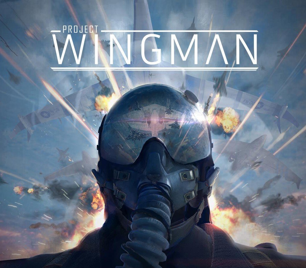 Project Wingman
