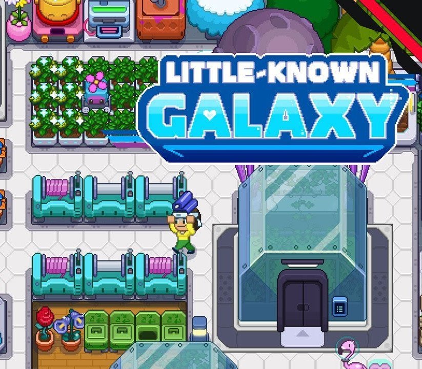 Little-Known Galaxy