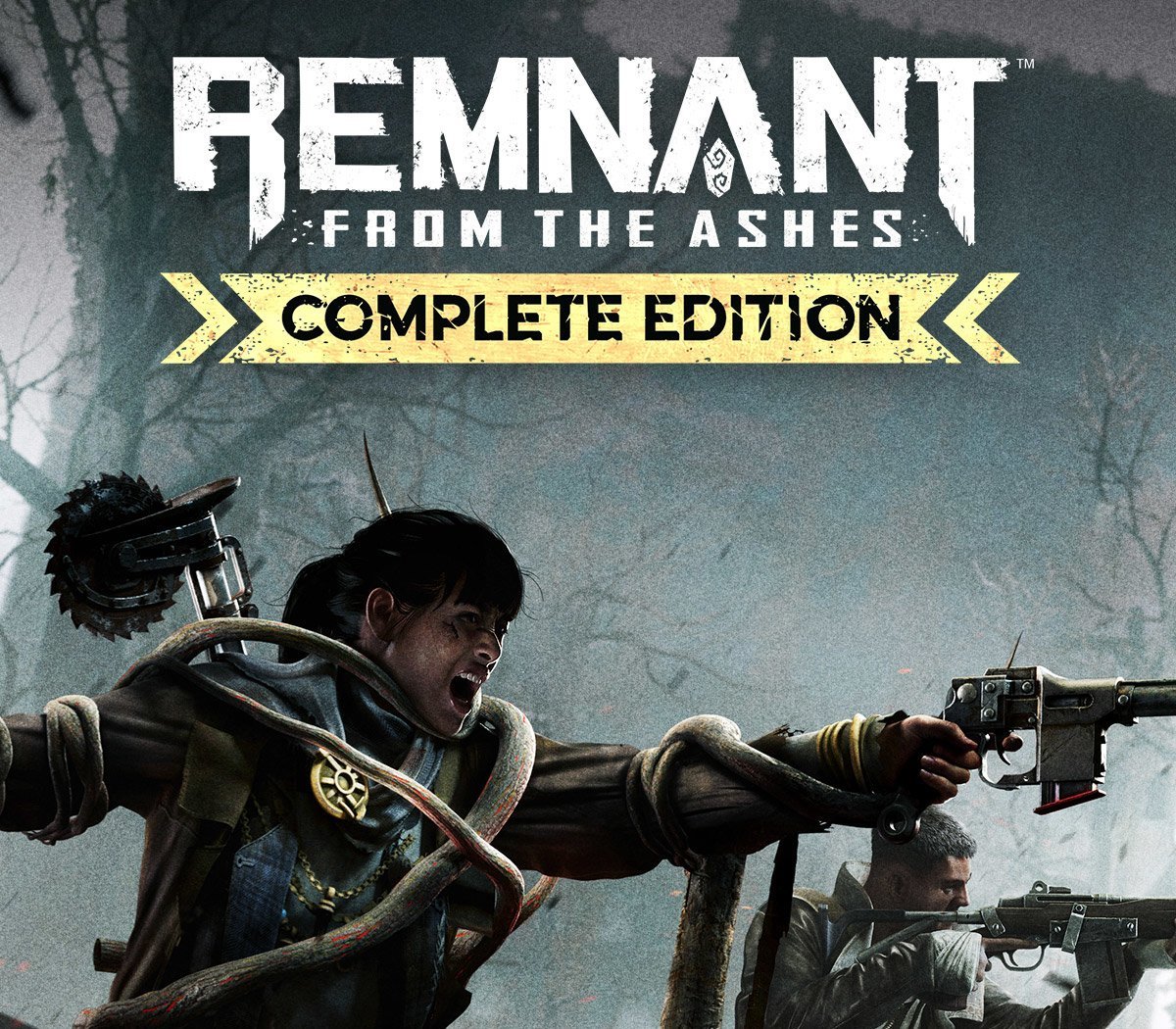 Remnant: From the Ashes Complete Edition US  Series X|S / PC CD Key