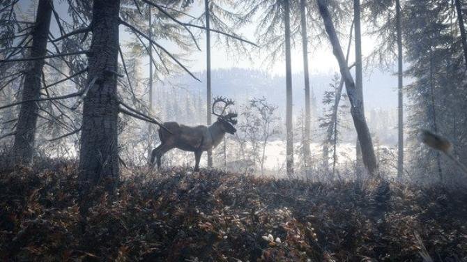 theHunter: Call of the Wild - Master Hunter Bundle 