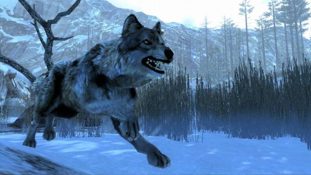 Cabela's Dangerous Hunts 2013 