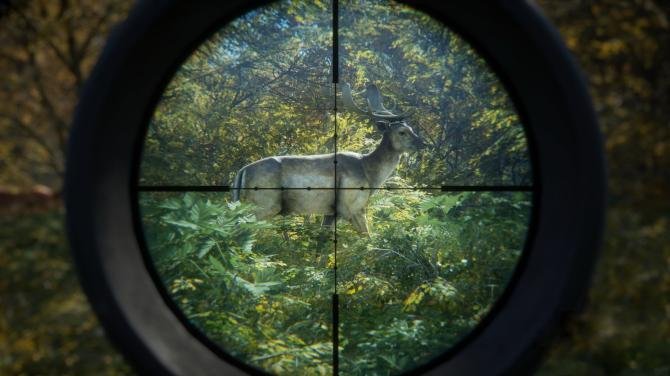 theHunter: Call of the Wild 2021 Complete Collection 