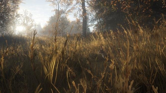 theHunter: Call of the Wild 2021 Complete Collection 