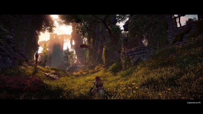 Horizon Zero Dawn Complete Edition PS4/PS5 Access 
